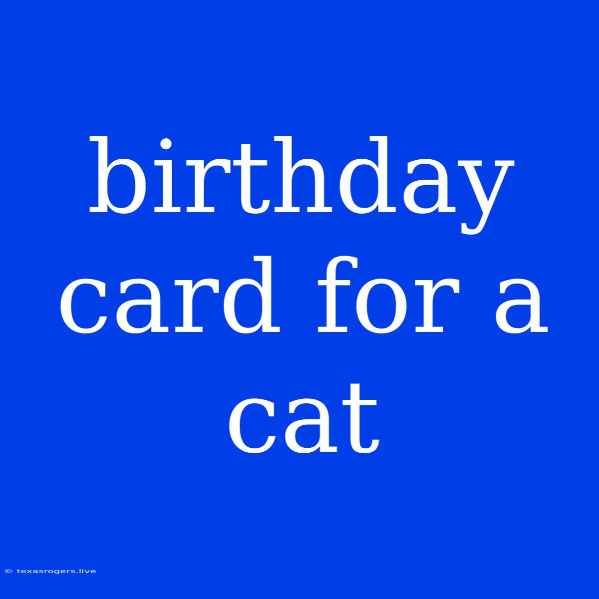 Birthday Card For A Cat