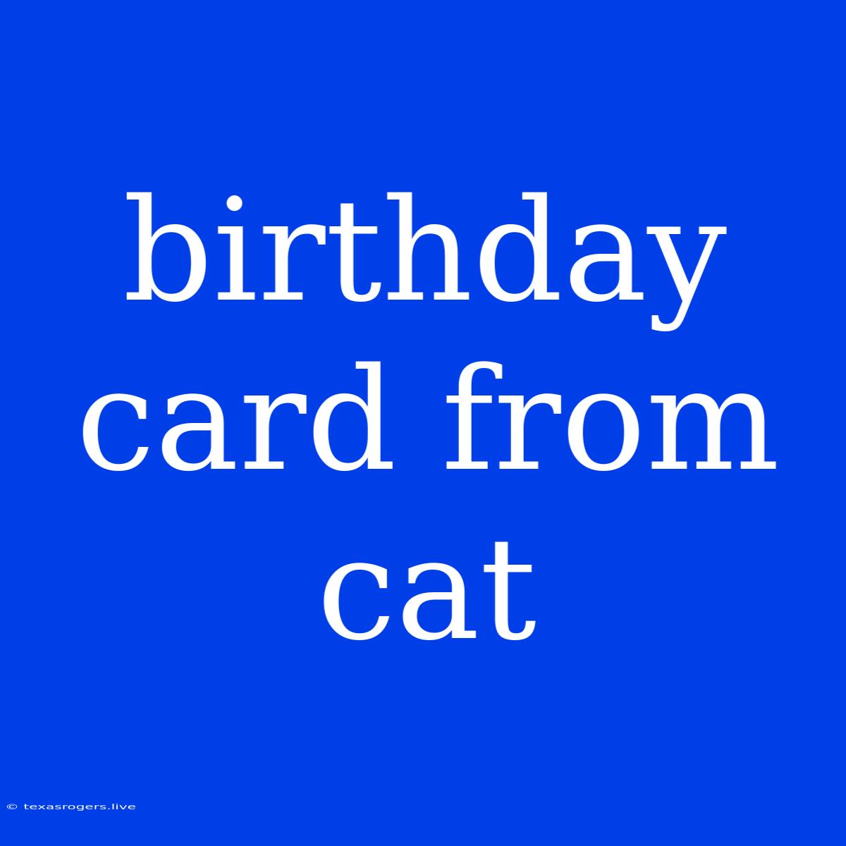 Birthday Card From Cat