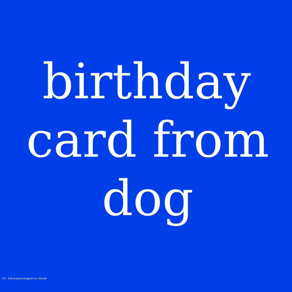 Birthday Card From Dog